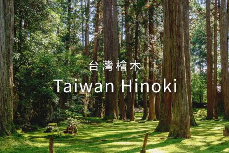台灣檜木（Taiwan Hinoki）